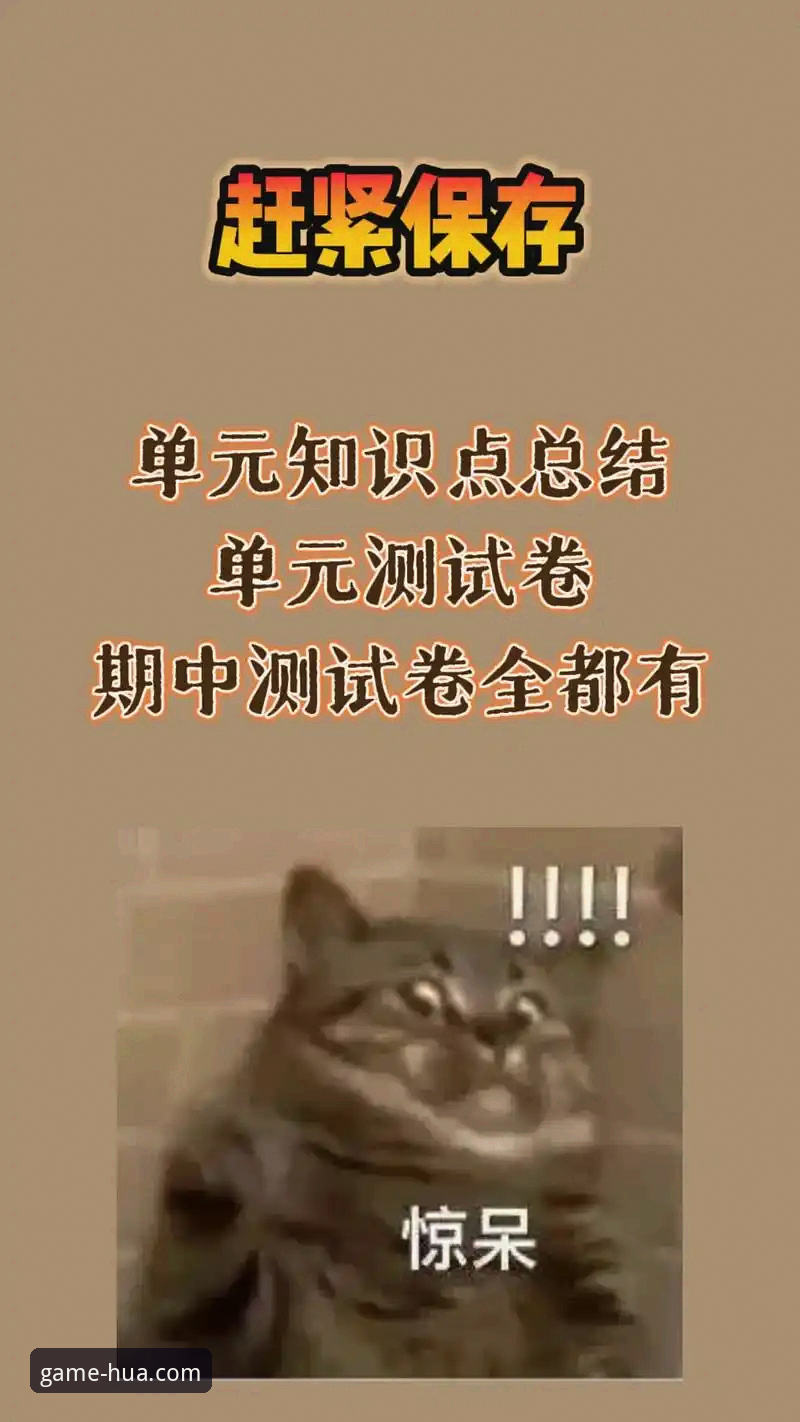 华体育专业平台下载最新动态：2024年v1.9.3版本实测体验全攻略