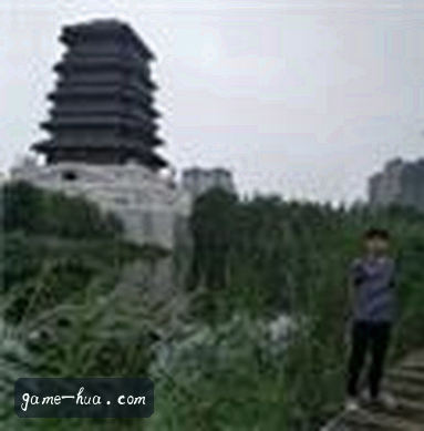 郑雨
